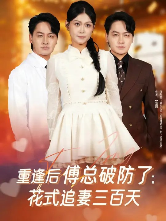重逢后傅总破防了：花式追妻三百天