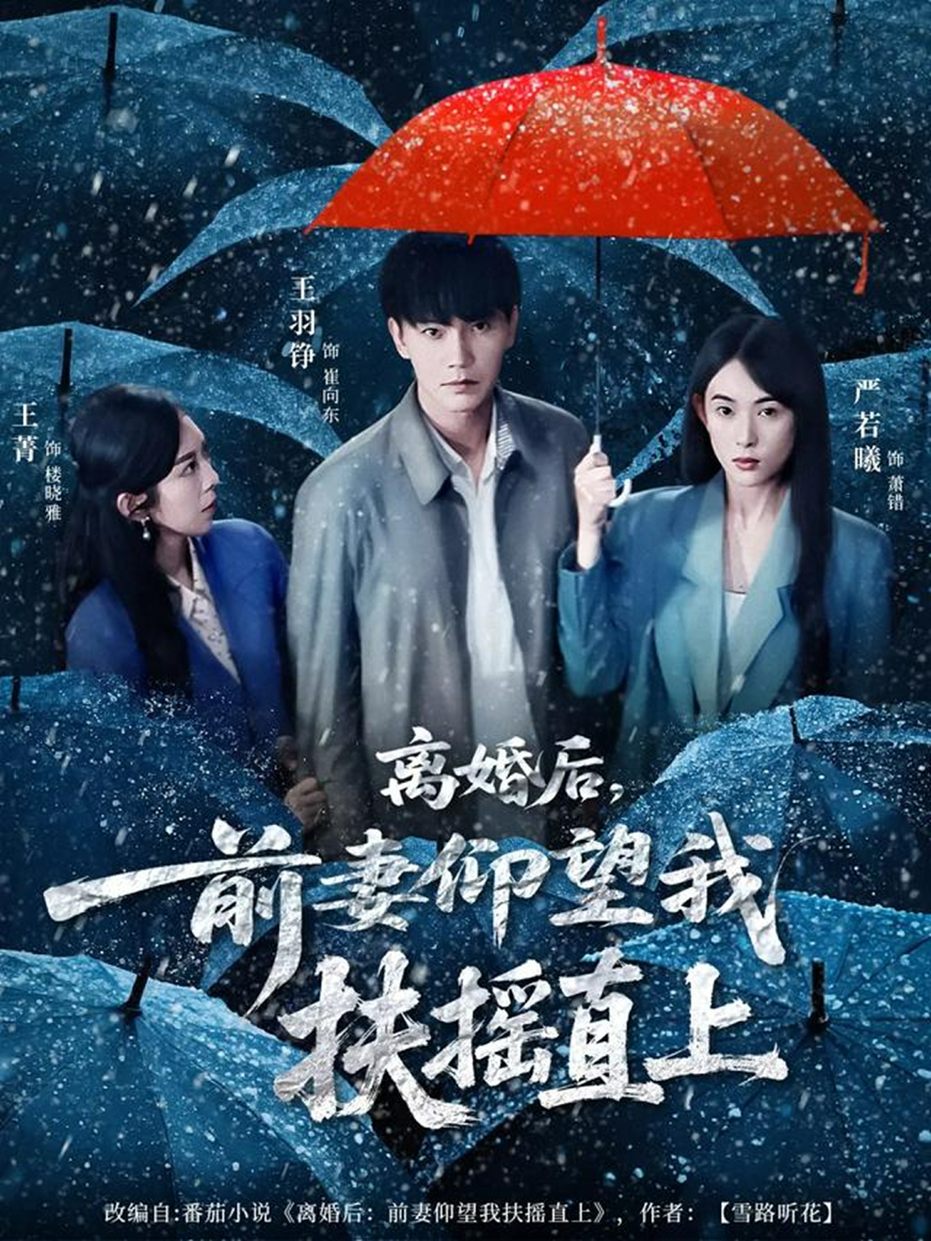 离婚后,前妻仰望我扶摇直