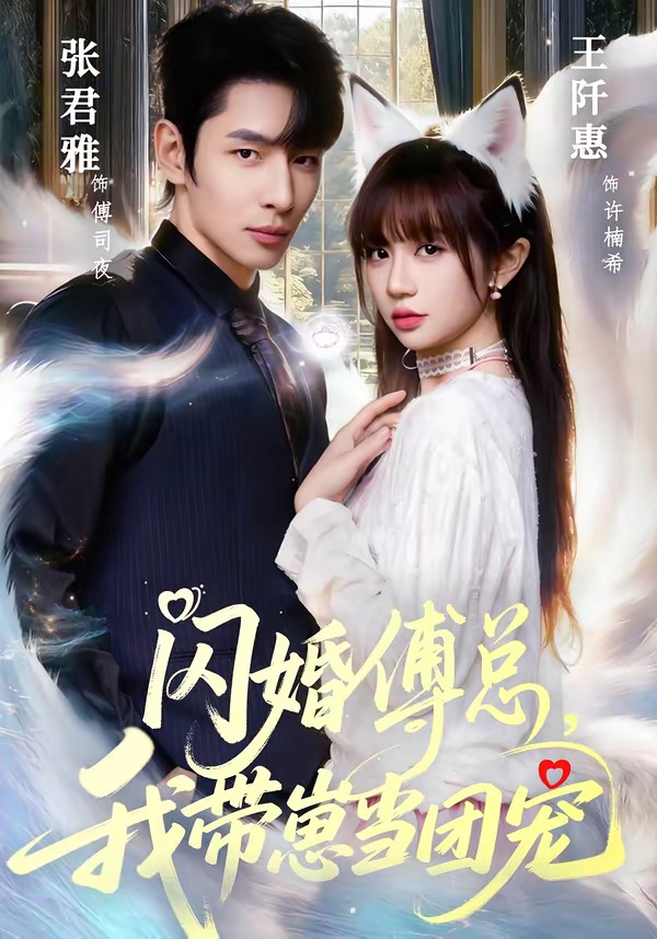 闪婚傅总，我带崽当团宠